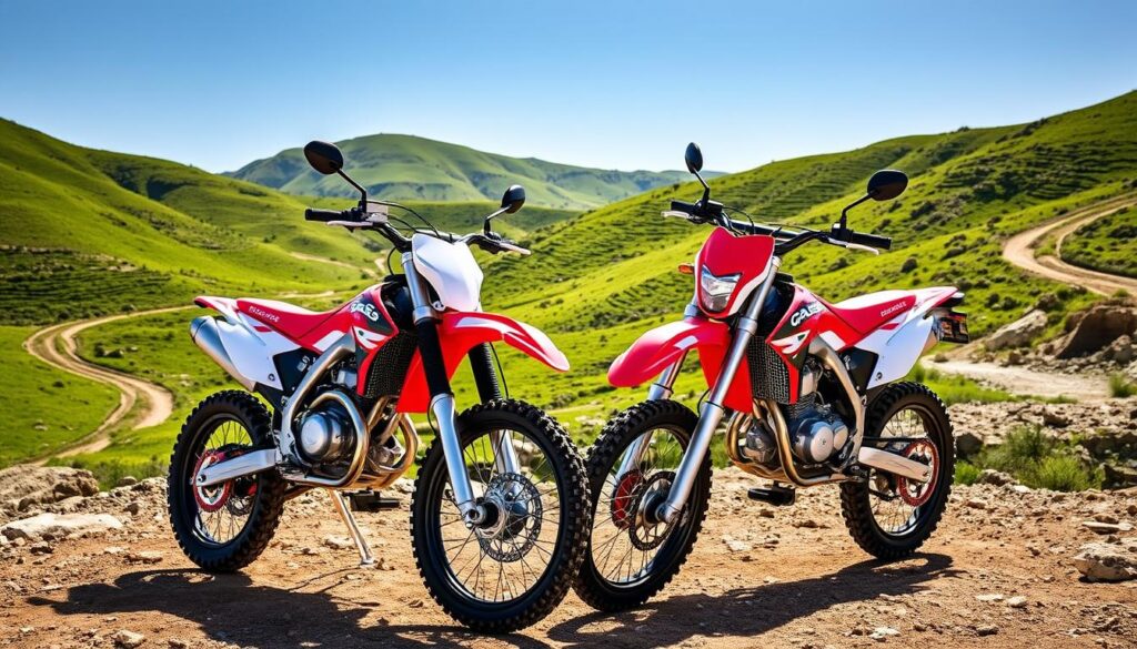 GasGas EC250F and EC300 GasGas EC250F and EC300